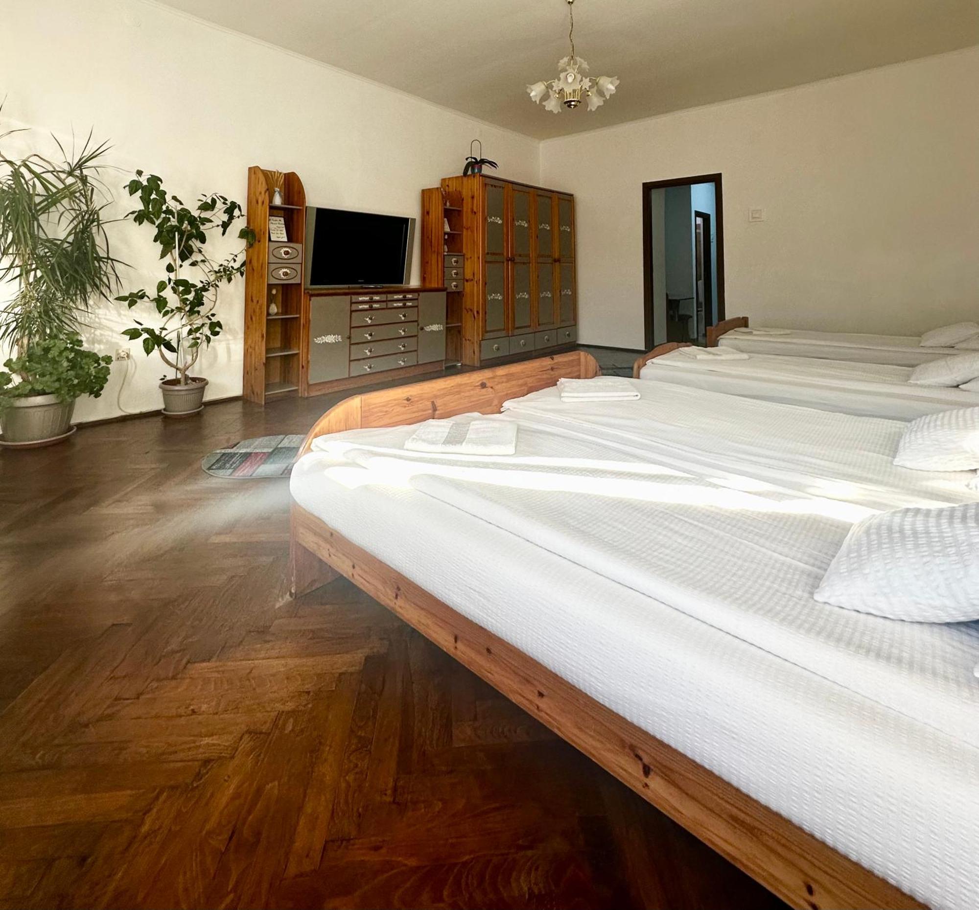 Studio Apartament Alex Apartment Sibiu Luaran gambar