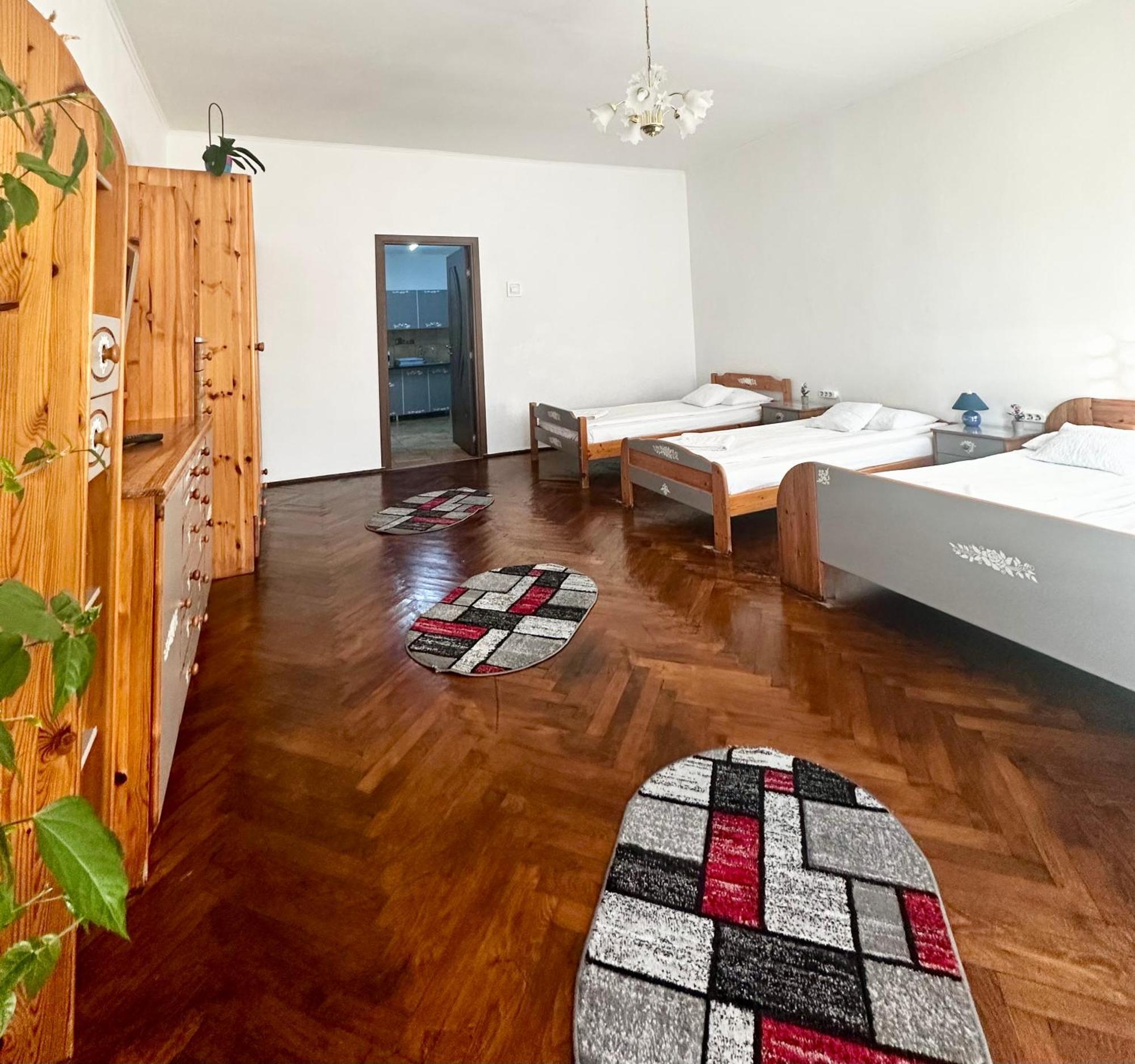 Studio Apartament Alex Apartment Sibiu Luaran gambar