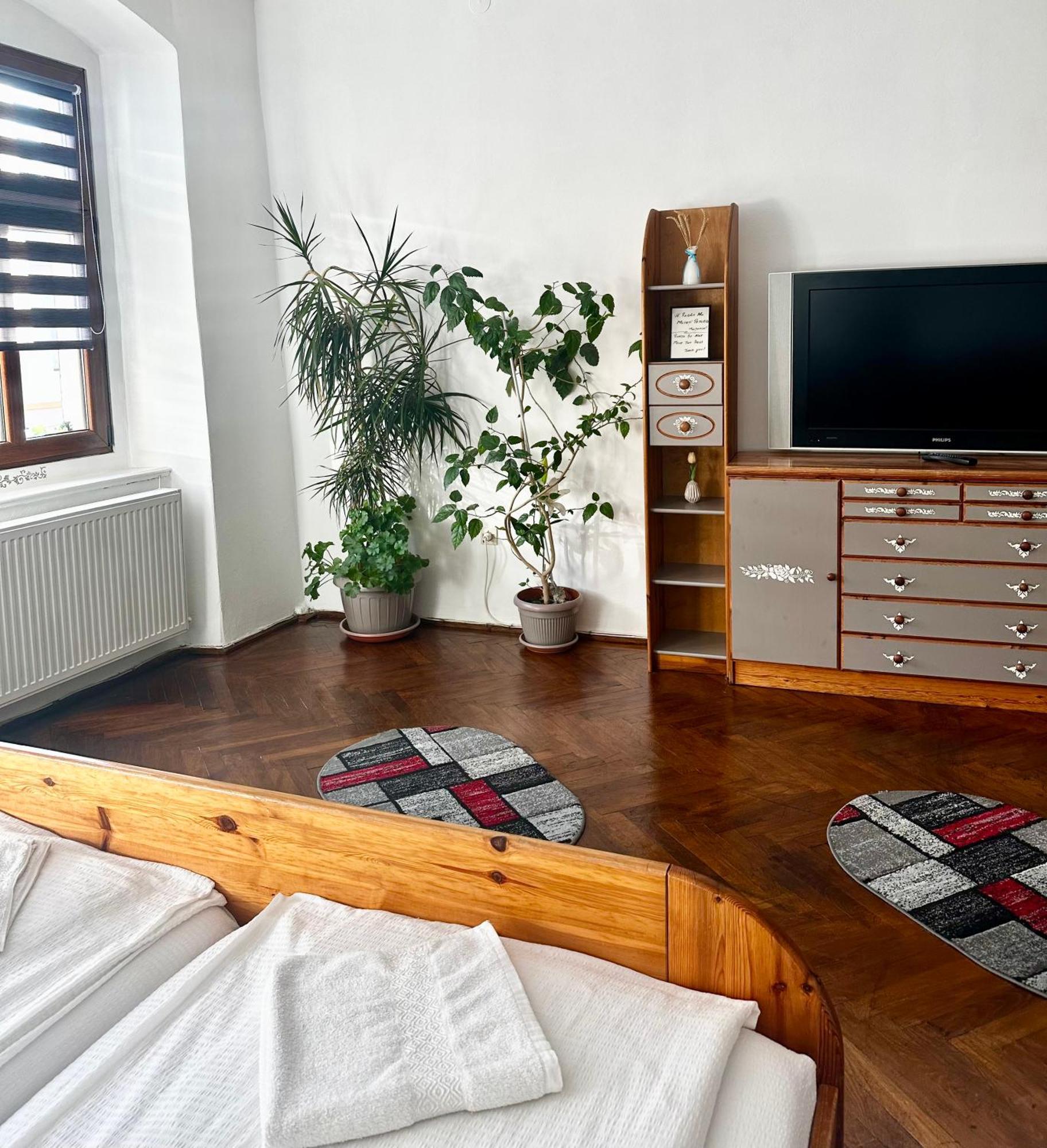 Studio Apartament Alex Apartment Sibiu Luaran gambar