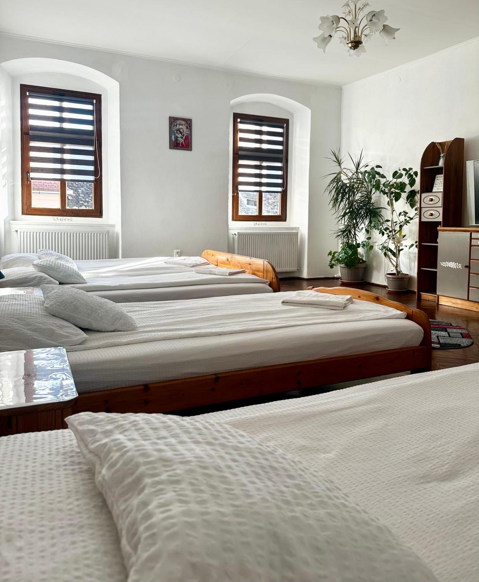 Studio Apartament Alex Apartment Sibiu Luaran gambar